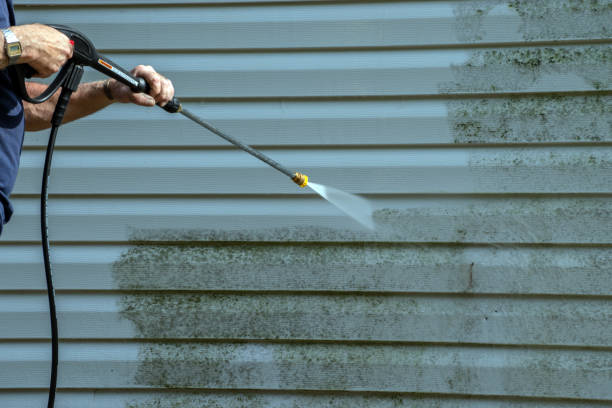 Best Building Exterior Washing  in Kensington, NY